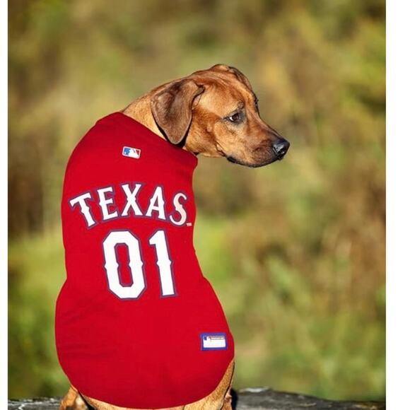 Texas Rangers MLB baseball jersey for dog size large - Picture 1 of 9